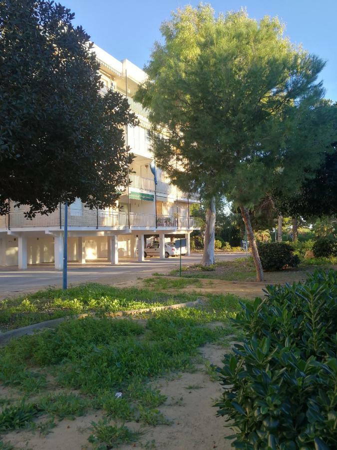 Punta Prima Beach Apt Orihuela Costa Lägenhet Exteriör bild